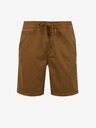 SuperDry Sunscorched Short pants