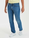 GAP Sierra Vista Jeans