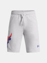 Under Armour UA Project Rock Terry Kids Shorts