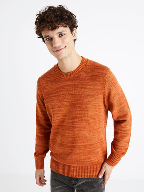 Celio Denton Sweater