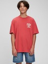GAP Teen Classic Kids T-shirt