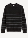 Celio Fepimpol Sweater