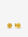 Vuch Riterra Gold Earrings