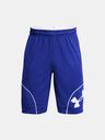 Under Armour UA Perimeter 11'' Short pants