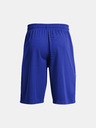 Under Armour UA Perimeter 11'' Short pants