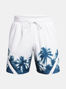 Under Armour Curry Mesh 3 Short pants
