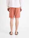 Celio Bochinobm Short pants