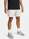 Under Armour Curry Mesh Short 2 Short pants