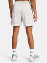 Under Armour Curry Mesh Short 2 Short pants