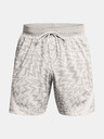 Under Armour Curry Mesh Short 2 Short pants