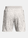 Under Armour Curry Mesh Short 2 Short pants