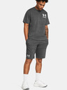 Under Armour UA Rival Terry Short pants