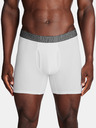 Under Armour UA Performance Cotton 6in Boxers 3 Piece