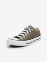 Converse Chuck Taylor All Star Sneakers