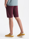 Ombre Clothing Short pants