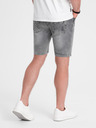 Ombre Clothing Short pants