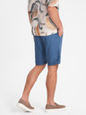 Ombre Clothing Short pants