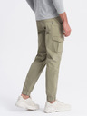 Ombre Clothing Trousers