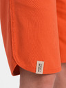 Ombre Clothing Short pants