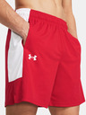 Under Armour UA Baseline Short pants