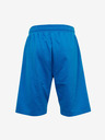 Sam 73 Euklas Short pants