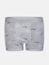 Edoti Boxer shorts