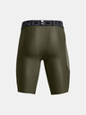 Under Armour Short pants