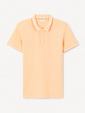 Celio Decolrayeb Polo Shirt