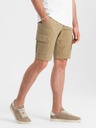 Ombre Clothing Short pants