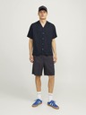 Jack & Jones Aaron Shirt