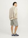 Jack & Jones Tony Short pants