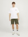 Jack & Jones Cole Short pants