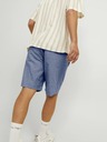 Jack & Jones Ace Short pants