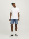 Jack & Jones Rick Short pants