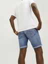 Jack & Jones Rick Short pants