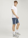 Jack & Jones Rick Short pants