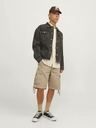 Jack & Jones Cole Short pants