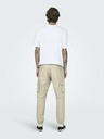 ONLY & SONS Cam Stage Trousers