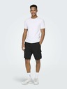 ONLY & SONS Sinus Short pants