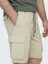 ONLY & SONS Sinus Short pants