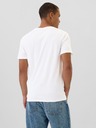 GAP T-shirt