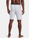 Under Armour HG Armour Lng Short pants