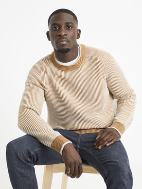 Celio Sweater