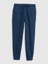 GAP Brushed Farrel Sweatpants