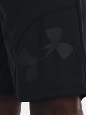 Under Armour UA Perimetr 11'' Short pants