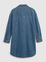 GAP Kids Dress