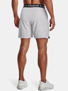 Under Armour UA Vanish Woven 6in Short pants