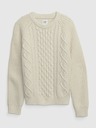 GAP Kids Sweater