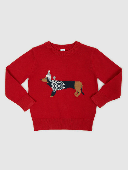 GAP Kids Sweater