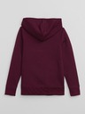 GAP Kids Sweatshirt